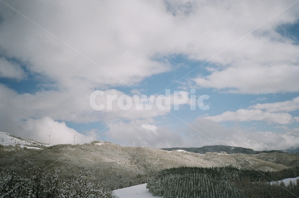 대관령,겨울풍경,필름카메라,filmphotography,filmcamera,nature,자연,outdoors,한국자연풍경