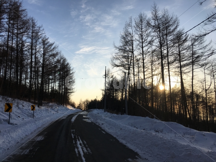 육백마지기,자연,강릉,평창,겨울,추위,겨울,계절,winter,season,자연,풍경,nature,landscape,한국자연풍경,한국자연경관,korea nature landscape,교통,교통수단,traffic,transportation,light,빛,flare,플레어