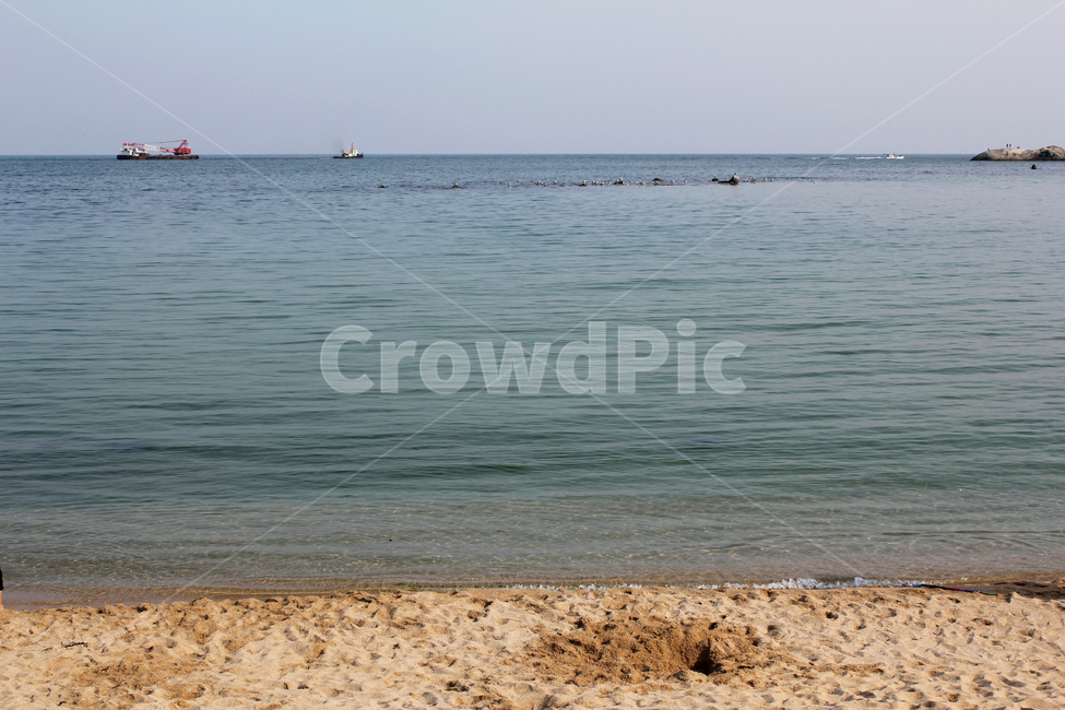 한국,낮,하늘,바닷물,배,어선,새,바다새,갈매기,조류,바다,자연,물,water,바닷가,해변,해수욕장,모래,해안가,모래사장,자연,풍경,nature,landscape