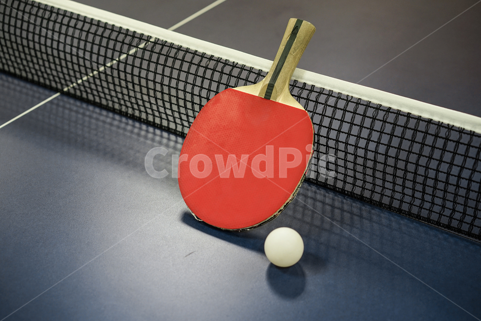 탁구,탁구대,스포츠,탁구라켓,탁구공,tabletennis,스포츠,레저,운동,sports,leisure,exercise,사물,물건,오브젝트,thing,object,matter