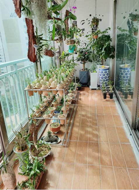 balcony,발코니,식물,화분,난,조경,베란다