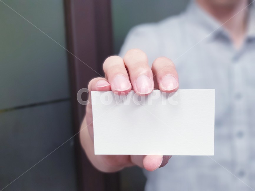 비즈니스,명함,사무,홍보,손,비즈니스,사업,business,service,work