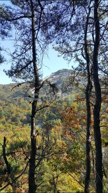 풍경사진,바다,산,억새풀,하늘,자연,풍경,nature,landscape,식물,plants,나무,trees,wood,tree,plant,tree trunk,나무 줄기
