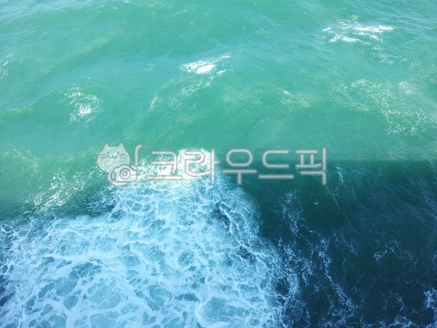 대양,물,바다,배거품,sea