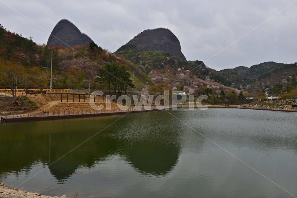 전북,진안,마이산,plant,식물,nature,자연,outdoors,water,옥외,물,경치,경관,풍경,사양제,반영,벚꽃,산벚꽃,봄,계절