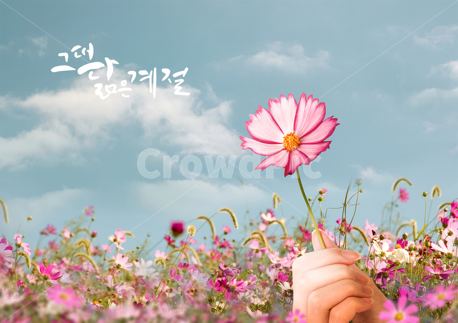 sky,cloud,Callie,hand motion,handwriting,autumn,Emotion,Cosmos,calligraphy,hand