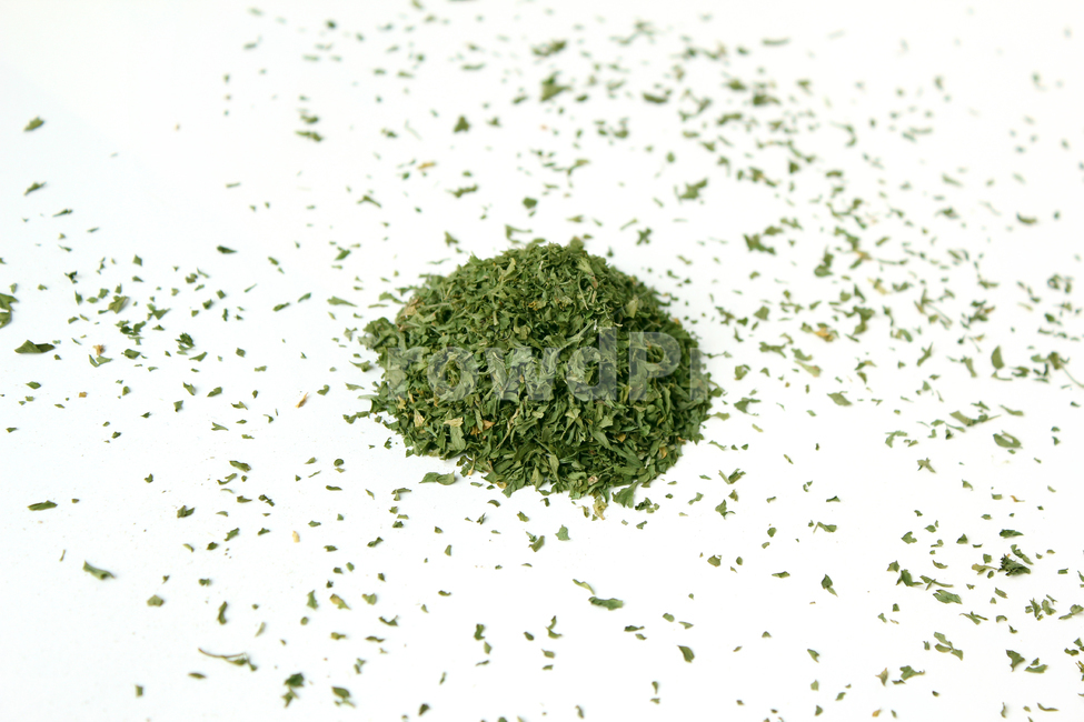 parsley,dryparsley,powder,파슬리,파슬리가루,파슬리잎,가루,요리재료,식재료,이탈리안,말린,마른,말린잎,closeup,cooking,driedparsley,dry,food,italian,leaf,parsleyleaf,plant,topview,양념,더미,dummy,group,덩어리,모여있는,탑앵글,음식,식재료,요리,food,cook,meal,dishes,food reserves,연출,컨셉,콘셉,direction,concept