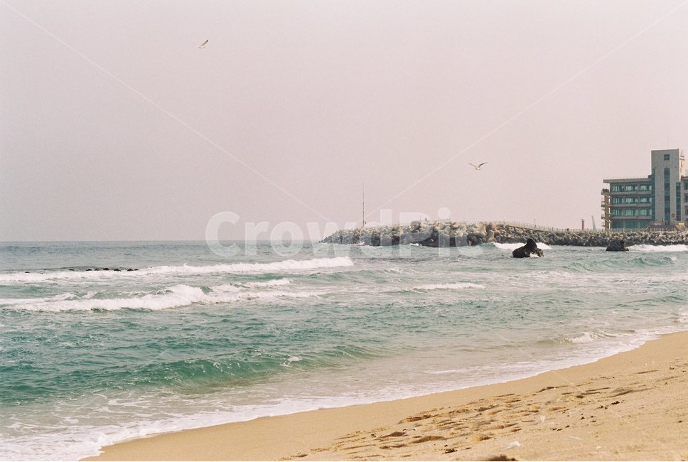 바다,여름,해변,휴가,여름휴가,sea,summer,beach,vacation,summervacation,자연,풍경,nature,landscape,해변,바다,beach,sea,ocean,대양,outdoors,옥외,water,물,shoreline,해안선