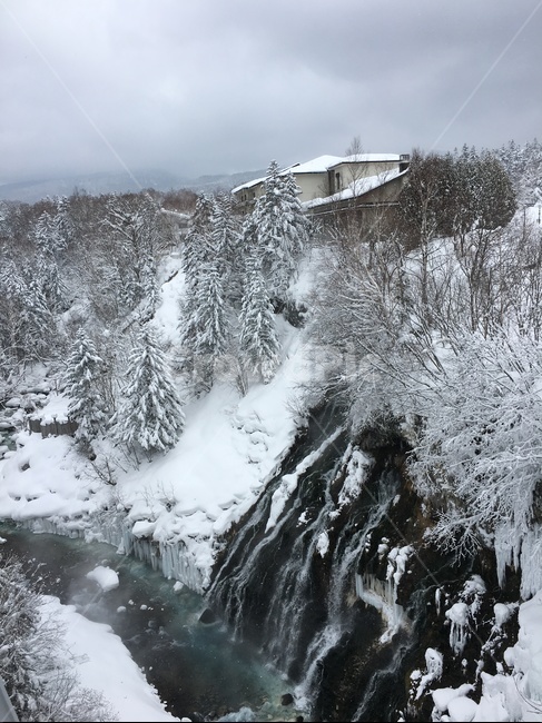 일본,폭포,자연폭포,설경,흰수염폭포,삿포로,겨울,계절,winter,season,자연,풍경,nature,landscape,해외,외국,세계,foreign,oversea,world,세계자연풍경,해외자연풍경,외국자연풍경,world nature landscape,fir,전나무,tree,나무,abies,아비,plant,식물,outdoors,옥외