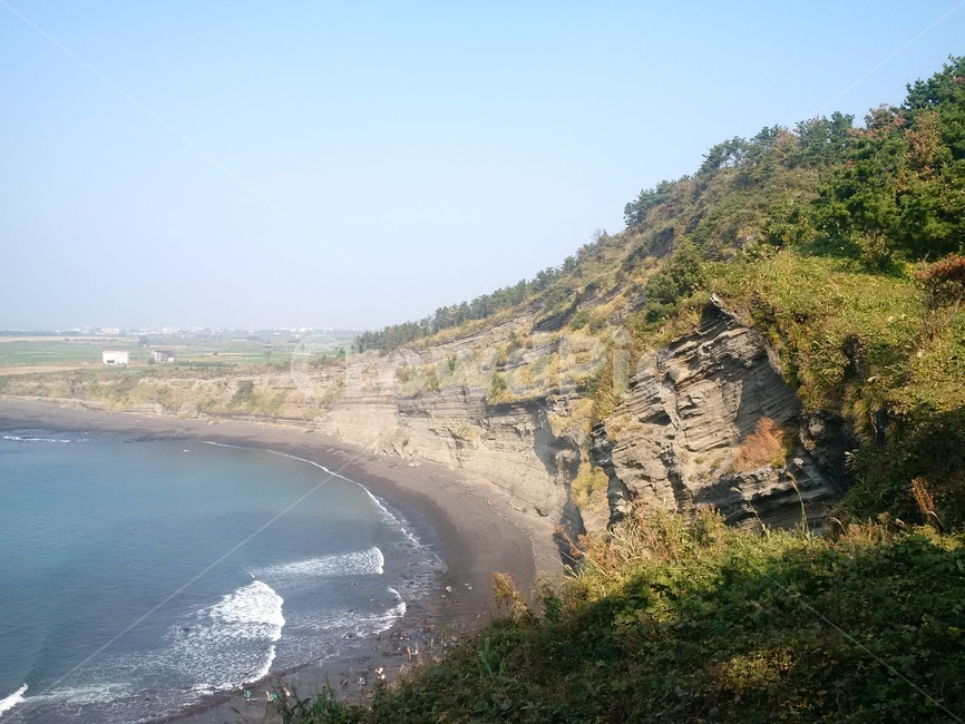 자연,바다,식물,nature,plant,sea