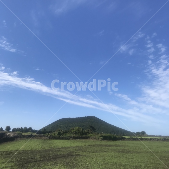 제주도,풍경,하늘,초원,제주