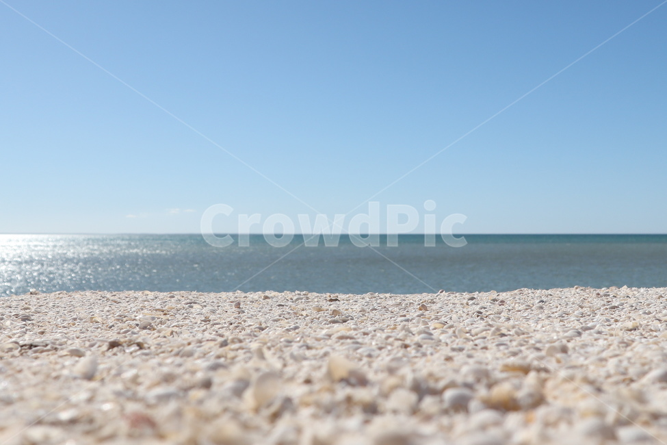 조개,seashell,sea,바다,sky,하늘,해변,바다,beach,sea