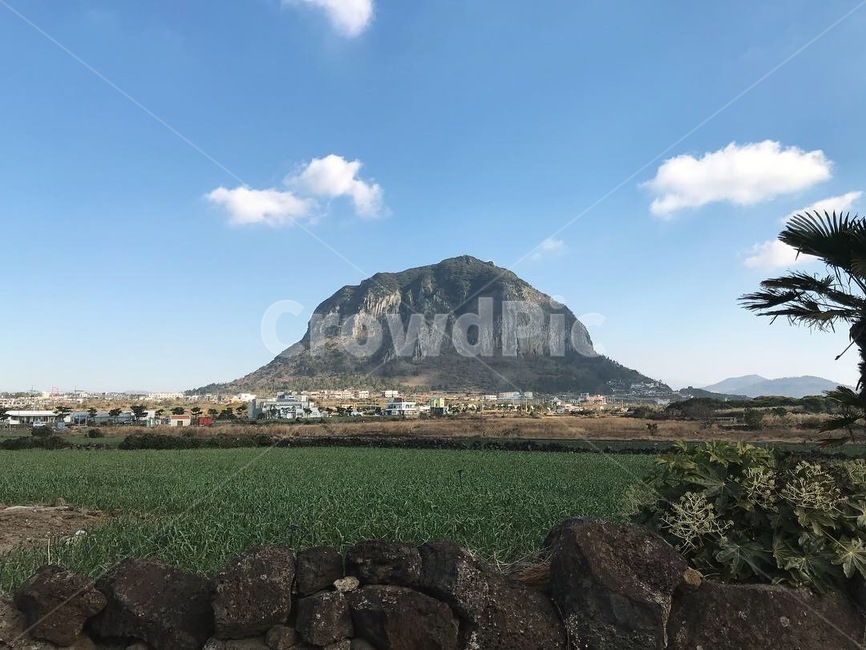 제주도,제주,산방산,귤,제주감성,봄,자연,풍경,nature,landscape,한국자연풍경,한국자연경관,korea nature landscape,제주도,jeju,jeju island,outdoors,옥외
