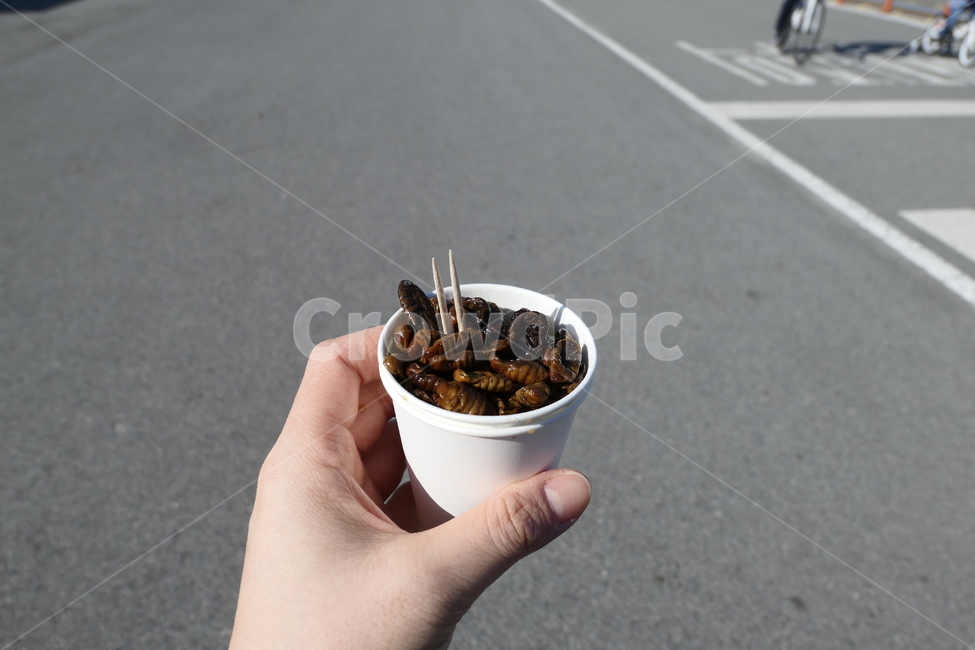 길거리음식,번데기,종이컵,야외음식,음식,간식,음식,식재료,요리,food,cook,meal,dishes,food reserves,디저트,간식,후식,dessert,snack