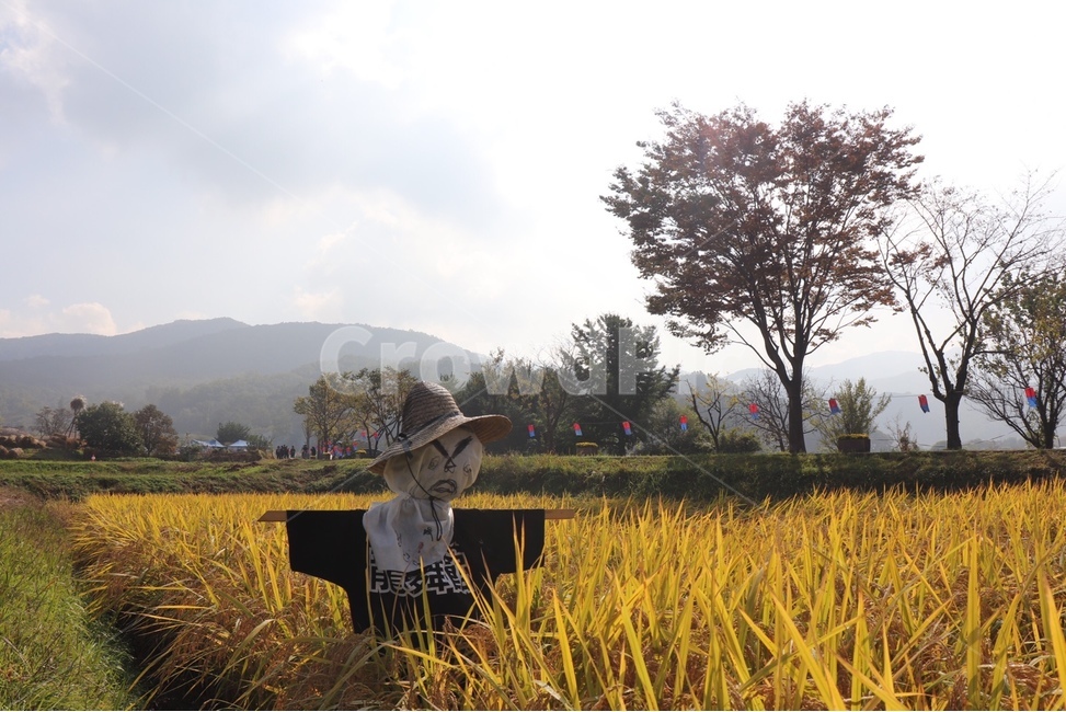 허수아비,벼,외암민속마을,짚풀문화재,가을풍경,시골,마을,풍경,landscape,country,rural,town