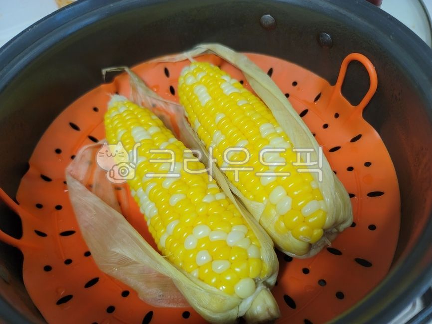 옥수수,곡물,음식,food,가을,열매,찐옥수수