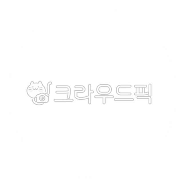 snowflake,snowflake illustration,snow,snow crystal,snow illustration