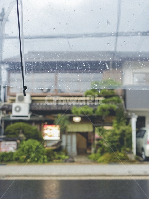 우산,비,감성,힐링,여름,여름비,나무,건물,교토,일본,투명우산,rain,umbrella,summer,trees,building,kyoto,japan,비,비오는날,rain,rainy