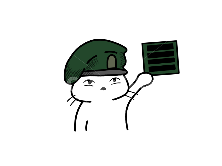 고양이,군대,귀여운,표현,표정,누끼,remove background,그래픽,일러스트레이션,graphic,illustration
