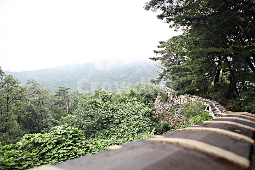 남한산성,성,성곽,길,둘레길,벽,숲길,숲,담,돌담,풍경,여름