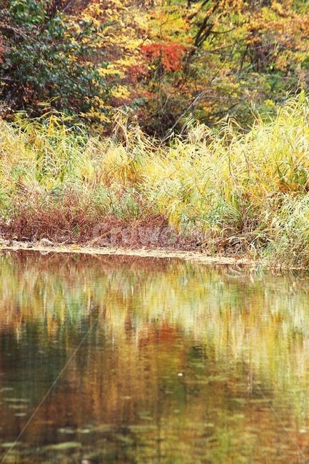가을,풍경,자연,식물,반영,가을,계절,fall,autumn,season,nature,outdoors,옥외,land,땅,water,물