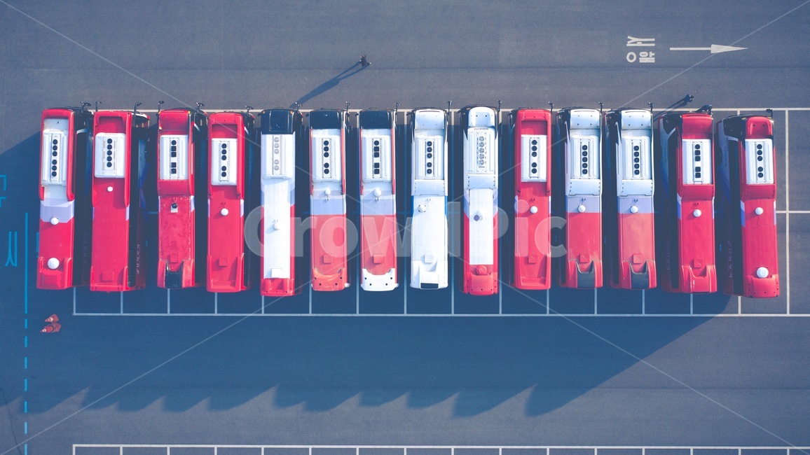 버스,빨강버스,빨간색,좌우대칭,도로,차,자동차,교통,교통수단,traffic,transportation