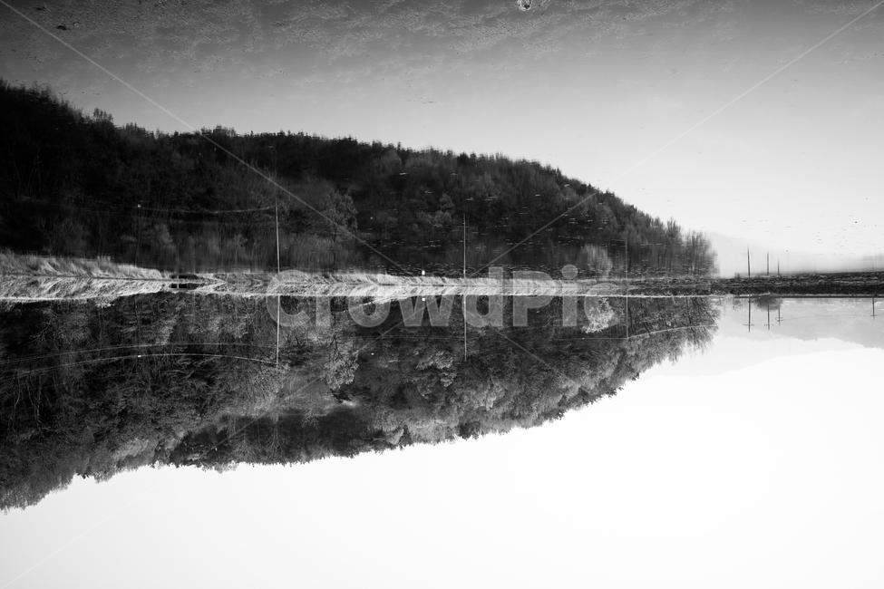 혼신지,반영,자연,연못,청도,자연,풍경,nature,landscape,흑백,모노톤,monochrome,black and white,water,물,land,땅,outdoors,옥외,plant,식물,tree,나무