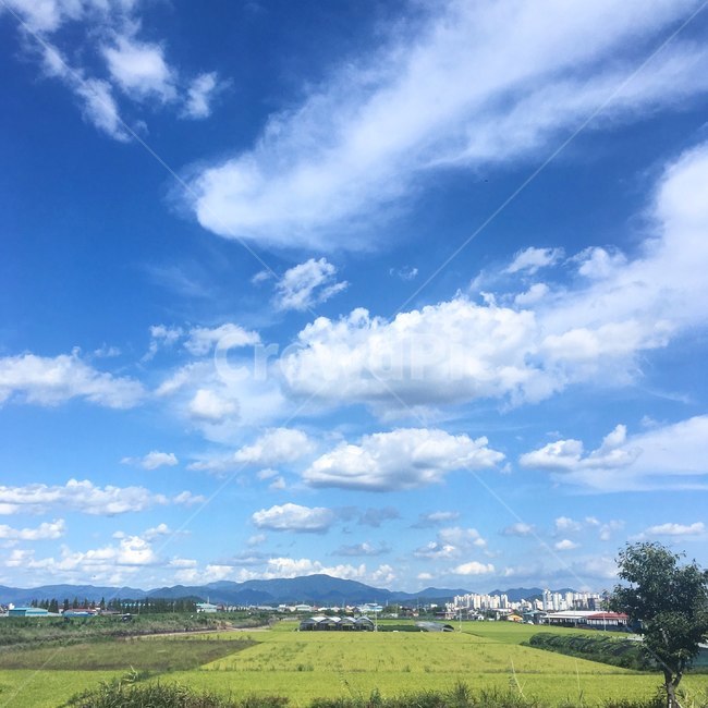 색채,색감,구름,하늘,하늘풍경