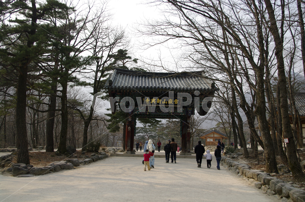 신흥사,사찰,절,전통,건축,기와,지붕,나무,길
