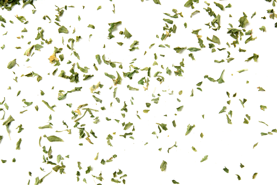 말린잎,cooking,parsleyleaf,양념,탑앵글,parsley,파슬리가루,파슬리,driedparsley,파슬리잎,dry,dryparsley,food,green,italian,leaf,macro,plant,powder,topview,식재료,closeup,요리재료,말린,마른,가루,파우더,이탈리안,음식,식재료,요리,food,cook,meal,dishes,food reserves,누끼,remove background