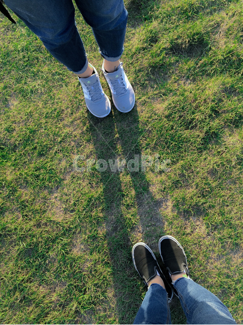 그림자,친구,우정,잔디밭,잔디,shadow,friends,friendship,grass