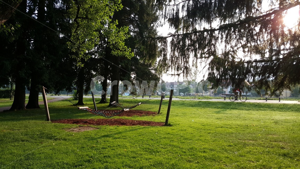 해먹,자연,풀,나무,그물해먹,산책,아침,nature,tree,hammock,green,morning,분위기있는,감성적