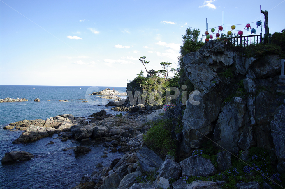 바다,동해,하늘,풍경,바위,암석,나무,구름,자연,풍경,nature,landscape,한국자연풍경,한국자연경관,korea nature landscape,shoreline,해안선,water,물,outdoors,옥외,land,땅,sea,ocean,대양,promontory,곶