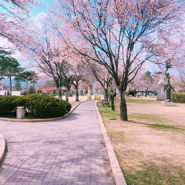 봄,꽃,식물,자연풍경,여름,벛꽃,나무,하늘,봄,계절,spring,season,식물,자연,plants,nature,꽃,flower,나무,trees,wood,plant