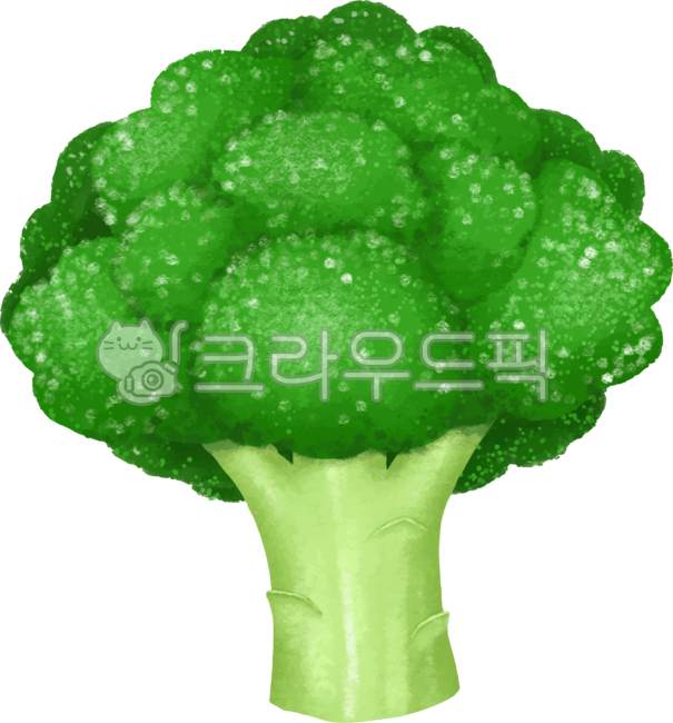 브로콜리,야채,채소,음식,식재료,식물,녹색