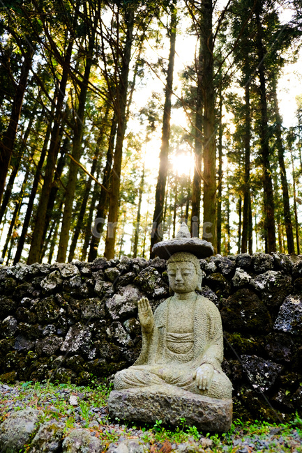 숲,사찰,부처님,불교,불상,절,temple,religion,statue,동상