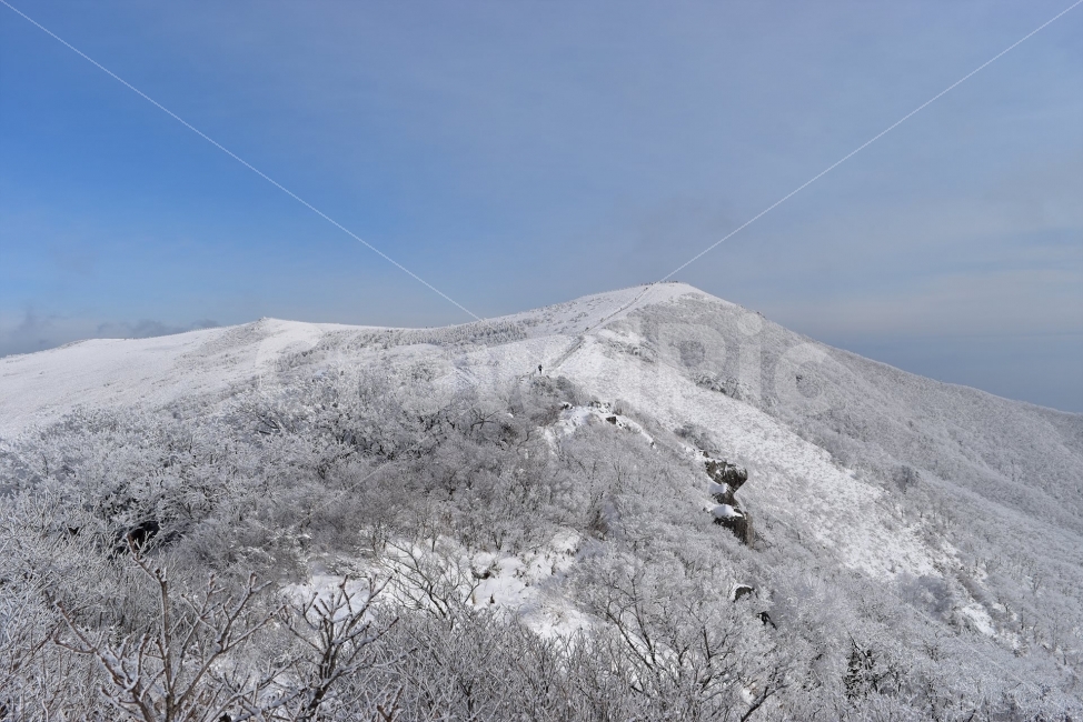 소백산,눈꽃풍경,상고대,겨울풍경,국립공원,겨울동화,힐링,감성,아름다움,뷰티풀,설국,눈풍경,파란하늘,100대명산,겨울명산,설경,서리꽃,영동,snow,landscape,눈,화이트,자연,신비로운,경이로운,천상,비경,치유,자연,풍경,nature,landscape,겨울,계절,winter,season,outdoors,옥외,mountain,산,slope,경사,mountain range,산맥