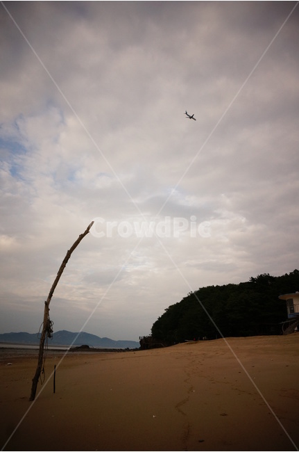 서해,서해바다,배,바다,나무,고목,비행기,하늘,구름,자연,풍경,nature,landscape,해변,바다,beach,sea,outdoors,옥외