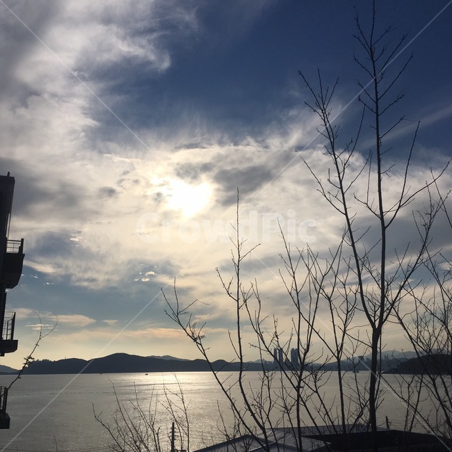 구름,해,햇빛,나무,바다,부산바다,자연,풍경,nature,landscape