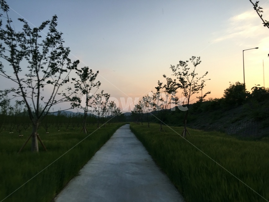 path,통로,길,road,노을,sunset,grassland,평화,peace,quiteness,고즈넉,대구,daegu