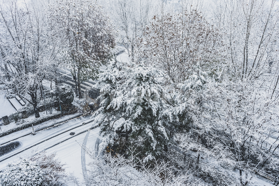 겨울,계절,폭설,눈,도로,나무,공원,야외,겨울,계절,winter,season,자연,풍경,nature,landscape,outdoors,옥외