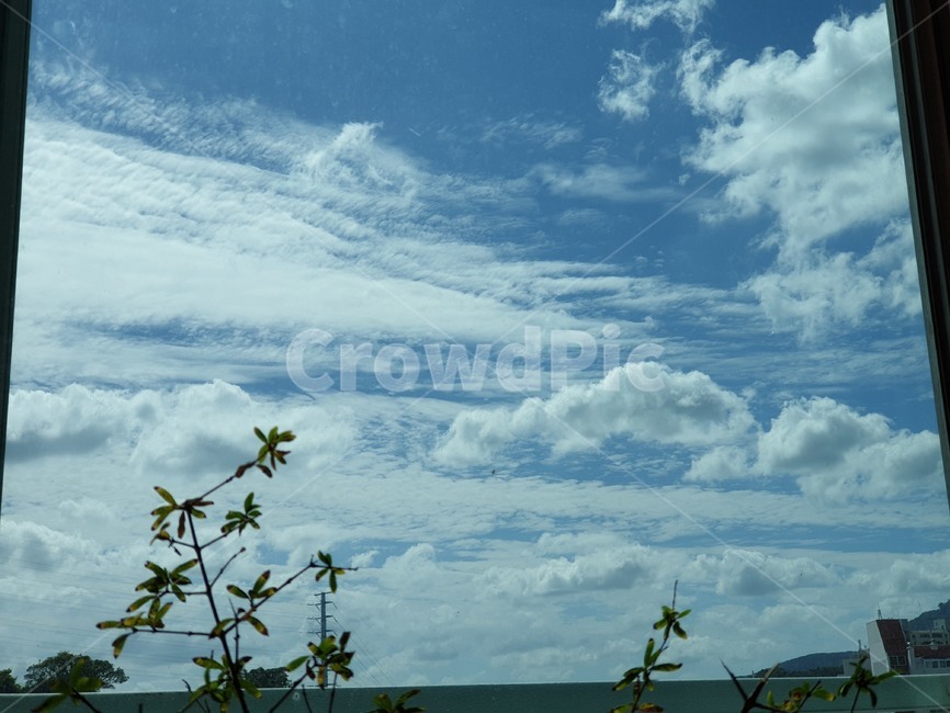 nature,자연,옥외,outdoors,weather,날씨,cloud,구름,sky,하늘,cumulus,적운,창문,나무,방충망