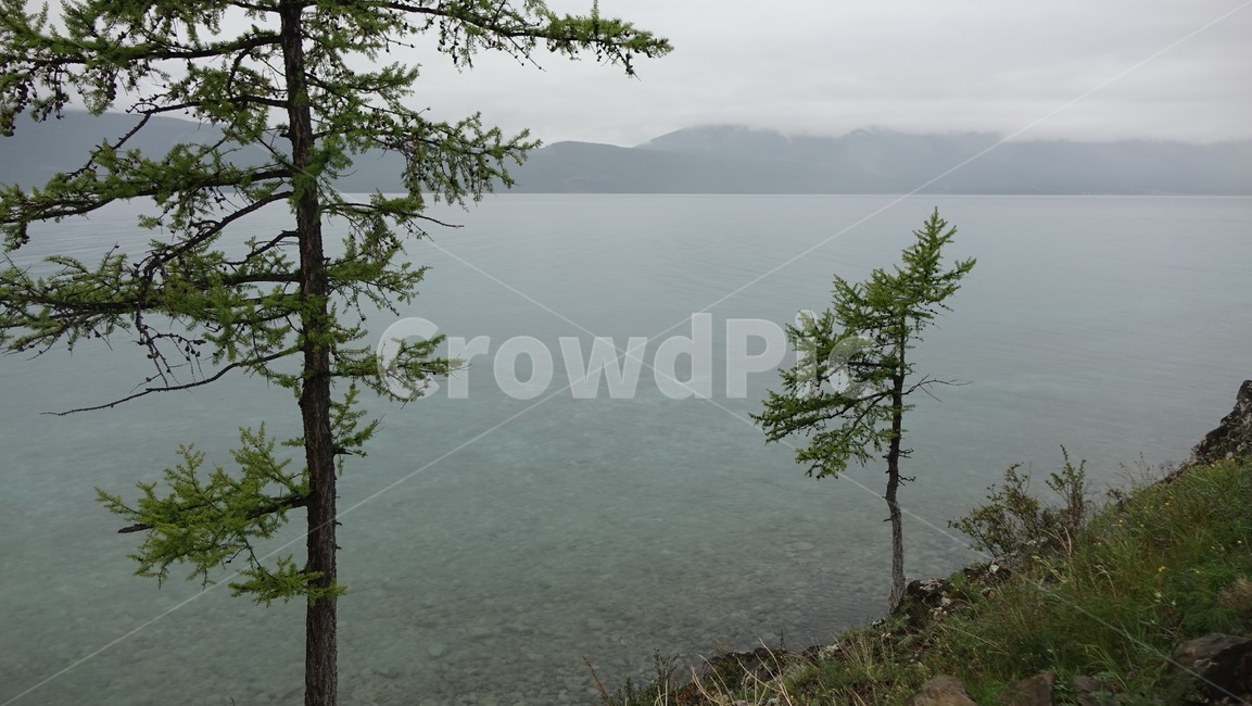 nature,lake,호수,자연,홉스굴,water,물,나무,tree,몽골,몽고,MONGOLIA