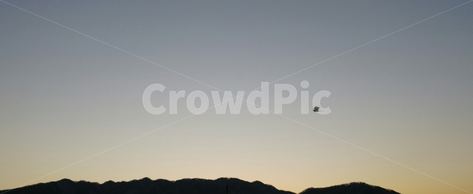 새해,까치,아침,날개,산,자연,풍경,nature,landscape,실루엣,그림자,silhouette,shadow,leisure activities,레저 활동,adventure,모험
