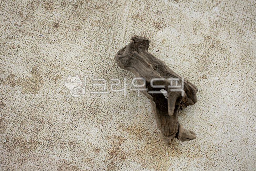 우드,고스트우드,오브제,소품,유목,촬영소품,스튜디오,촬영배경