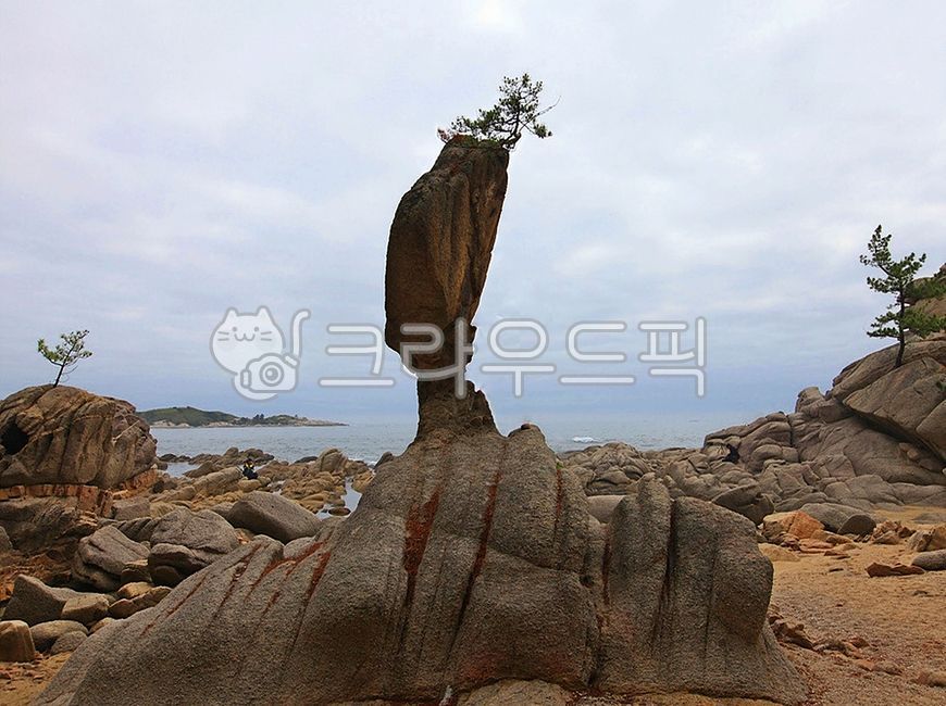 nature,자연,promontory,곶,outdoors,옥외,rock,바위,강원도,고성,서낭바위,관광지,감성,한국자연풍경,한국자연경관,오호항,송지호해변,고성서낭바위,오호항서낭바위,송지호서낭바위,지질공원,해식바위,소나무,명품소나무,걸작소나무
