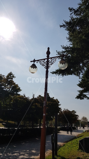 가로등,등불,하늘,밤하늘,불빛,전구,전기,나무,길,lamppost,person,해질녘
