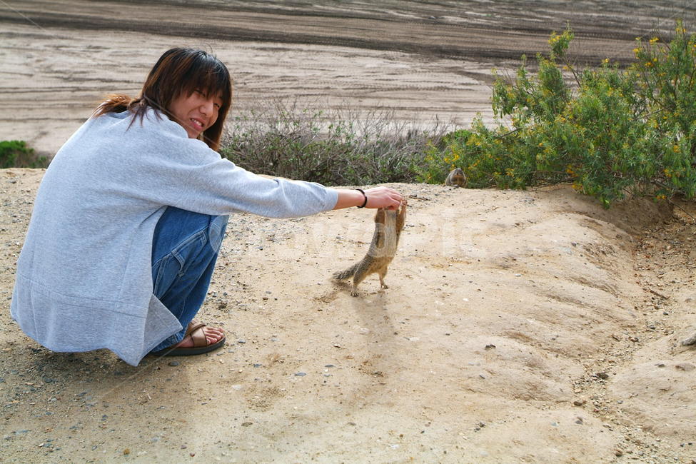 squirrel,다람쥐,땅다람쥐,신기,신남,재미,fun,cute,animals,human,인간,사람,person,동물,animal,포유류,mammal,사람,인물,인간,human,person,남성,남자,man,male