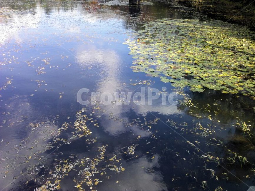 연못,감성,water,nature,자연