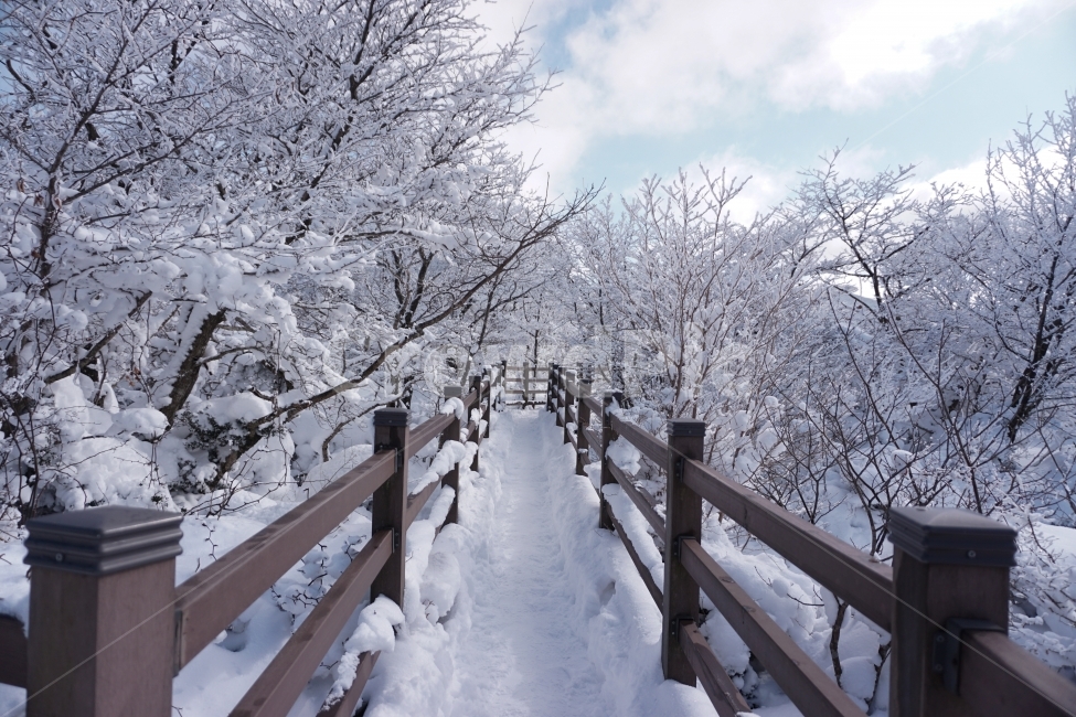 눈,설경,상고대,겨울,산,겨울,계절,winter,season,자연,풍경,nature,landscape,handrail,난간,banister,railing
